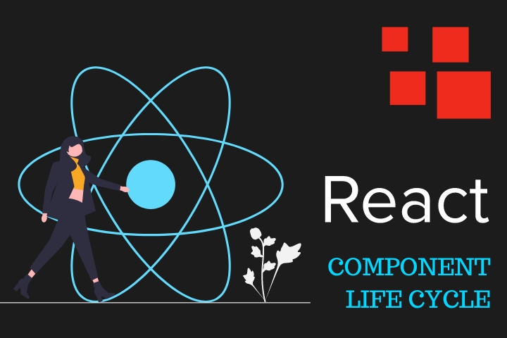 React.js: Understand and Apply the Lifecycle